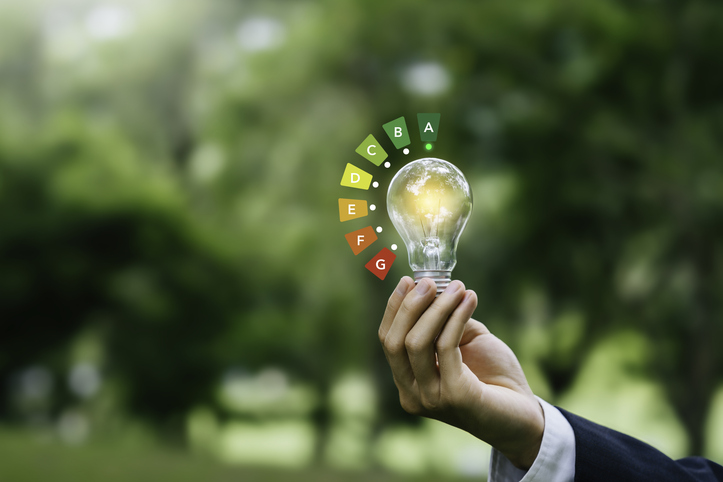 Industrial Energy Management