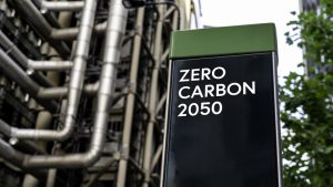 Net zero goals
