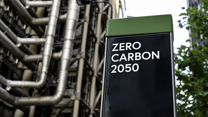 Net zero goals